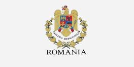 Aducerea rezervei de aur in Romania: vot negativ in Parlament (Avizul)