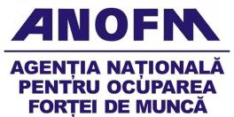 Antreprenorii apeleaza la muncitorii straini din cauza deficitului fortei de munca din Romania. Aflati care sunt cele mai cautate meserii