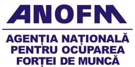 Antreprenorii cauta agenti de paza. Romanii cu studii superioare sunt la coada clasamentului