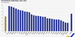 COMPANIILE ROMANESTI, LA COADA CLASAMENTULUI – Suntem pe ultimul loc in UE la numarul de firme cu vanzari online