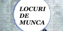 Deficit de forta de munca. Sunt zeci de mii de locuri vacante in Romania