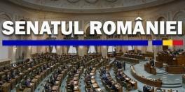 Despagubiri indexate cu rata inflatiei: aflati ce s-a decis in Senat (Avizul)
