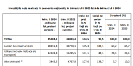 Investitiile in economie: banii care au intrat in circuit (Document)
