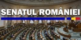Legea privind deducerea cheltuielilor, adoptata in Senat (Document)