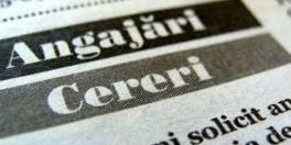 40.000 DE LOCURI DE MUNCA VACANTE – Vedeti care sunt domeniile unde se fac cele mai multe angajari (Document)