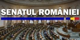 Proiectul de lege privind despagubirile platite de stat intra la vot in plenul Senatului. Iata avizele (Document)