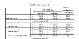  Raport pe afacerile din constructii (Document)