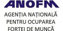 Rata somajului: ultimele cifre