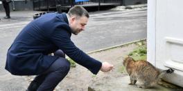 Rezultatele oficiale pentru Primaria Capitalei: Ciucu a castigat detasat cu peste 200.000 voturi. Iata cine s-a clasat pe urmatoarele locuri