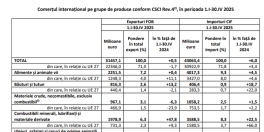 Romania, campioana la importuri. Aflati la cat a ajuns deficitul comercial (Raportul)