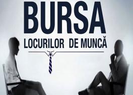 ROMANII VOR SA MUNCEASCA – Numarul CV-urilor depuse in luna iunie 2020 depaseste numarul locurilor de munca disponibile in toata Romania. Vezi care a fost cea mai cautata meserie (Statistica)