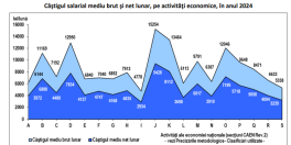 Salariile romanilor: raportul oficial (Document)