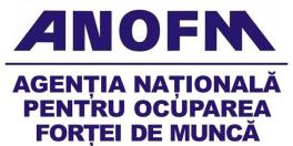 Soferii si curierii, la mare cautare de angajatori