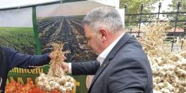 Statul a platit 41 milioane lei in doua zile