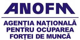 Ultimele cifre privind rata somajului