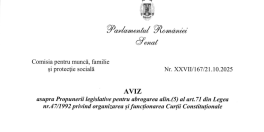 Vot in Senat pentru banii judecatorilor Curtii Constitutionale. Proiectul prevede taierea a 180.000 lei (Avizul)