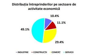 ACTIVITATEA ECONOMICA IN ROMANIA -  49,1% din numarul total de intreprinderi active au avut activitate principala Servicii de piata (Document)