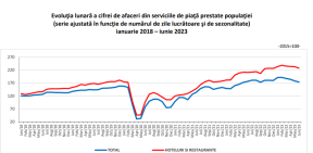 AFACERILE ANTREPRENORILOR ROMANI - Comertul din serviciile prestate populatiei a crescut intr-un an. Cifrele care arata domeniile in care se fac bani (Document)