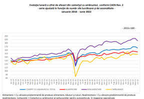 AFACERILE DIN COMERT AU SCAZUT - Domeniul care face exceptie. Comparatie cu 2021  (Document)