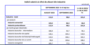 INDUSTRIA SCARTAIE – Crestere mica in primele luni ale acestui an. Raport privind afacerile (Document)