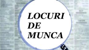 OFERTA LOCURILOR DE MUNCA - Posturile disponibile in Romania si Europa