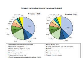 RADIOGRAFIA ROMANIEI IN CIFRE – Venituri: 2.770 lei, cheltuieli de 2.392 de persoana.  Nivelul cel mai scazut al cheltuielilor populatiei a fost pentru educatie (Document)