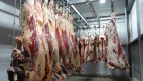 ROMANII RAMAN FARA LOC DE MUNCA IN GERMANIA – Cel mai mare procesator de carne din Europa ia in calcul vanzarea companiei