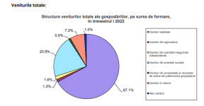VENITURILE ROMANILOR: IATA CAT AU CASTIGAT - Raport cu privire la cheltuielile facute (Document)