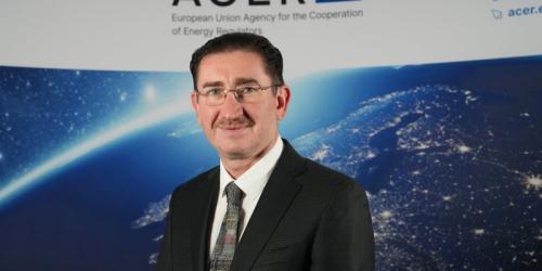 21 de companii au fost amendate cu 15 milioane euro de Consiliul Concurenței într-un caz de practici anticoncurențiale (Lista)
