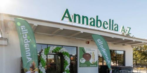  87 de magazine Mega Image pot fi cumparate de catre un comerciant cu capital romanesc. S-a dat unda verde