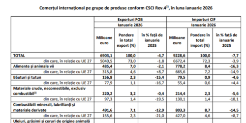 A scazut deficitul comercial: raportul dintre importuri si exporturi (Document)