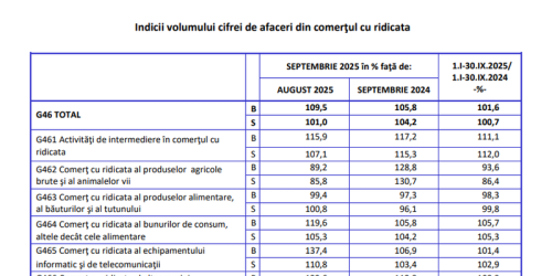 Afacerile din Romania: aflati ce se intampla in economie (Raportul)