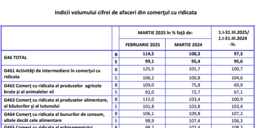 Afacerile din Romania: aflati cum merg (Document)