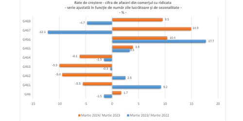 Afacerile en-gros: cifrele din ultimul an (Document)