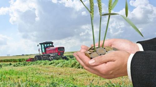 BANI PENTRU AGRICULTURA – Beneficiarii: peste 800.000 de fermieri