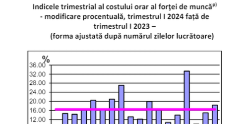 Costuri mai mari cu forta de munca. Iata domeniile in care s-au inregistrat cresteri (Raportul)