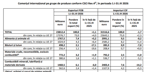 Deficitul balantei comerciale, in scadere: produsele pe care le dam la export (Raportul)