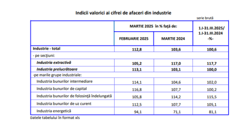 Industria Romaniei, in crestere: ramurile profitabile (Document)