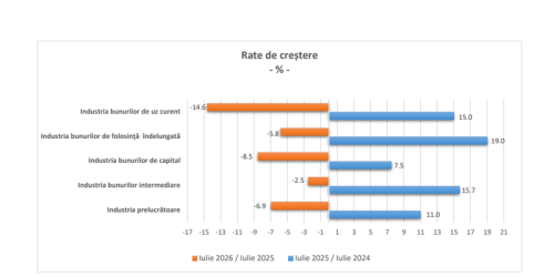 INS: comenzile noi din industria prelucrătoare au scăzut (Document)