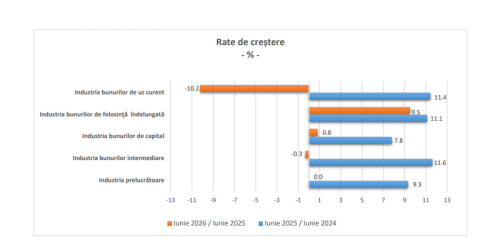 INS: mai puține comenzi în industria prelucrătoare, față de anul trecut