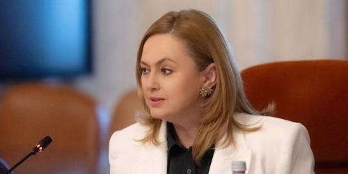 Lege pentru bagajele de mana in avion. Proiectul prevede ca vor fi incluse in pretul standard, fara perceperea unor taxe suplimentare (Document)