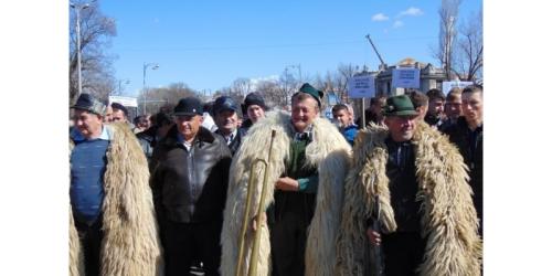 Protest de amploare in Bucuresti: 5000 de ciobani vin in Capitala (Revendicarile)