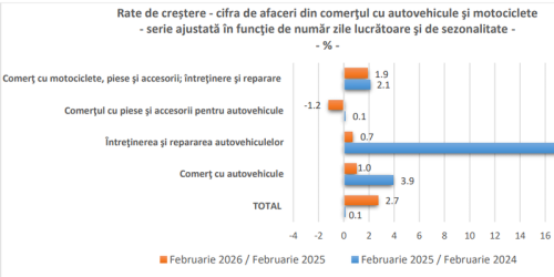 Raport pe afacerile cu masini in Romania: au crescut la inceputul anului (Document)