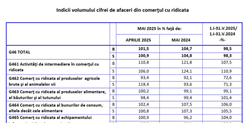 Anunt oficial privind business-urile din Romania (Document)