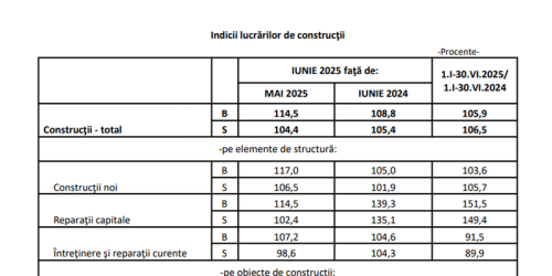  Raport pe afacerile din constructii (Document)