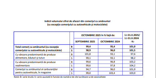 Raportul INS pe afacerile din comert (Document)