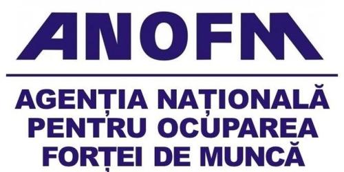 Se cauta forta de munca: posturile oferite