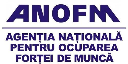 Soferii si curierii, la mare cautare de angajatori