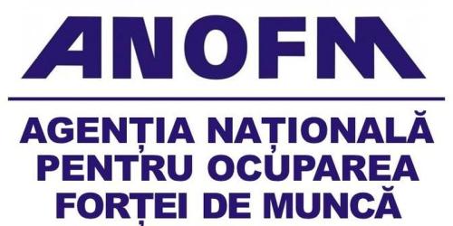 Ultimele cifre privind rata somajului