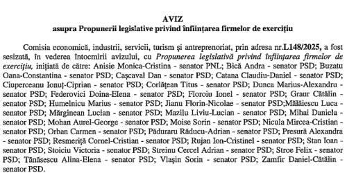 Unda verde in Senat pentru infiintarea de firme de catre tinerii antreprenori. Facilitatile oferite (Document)